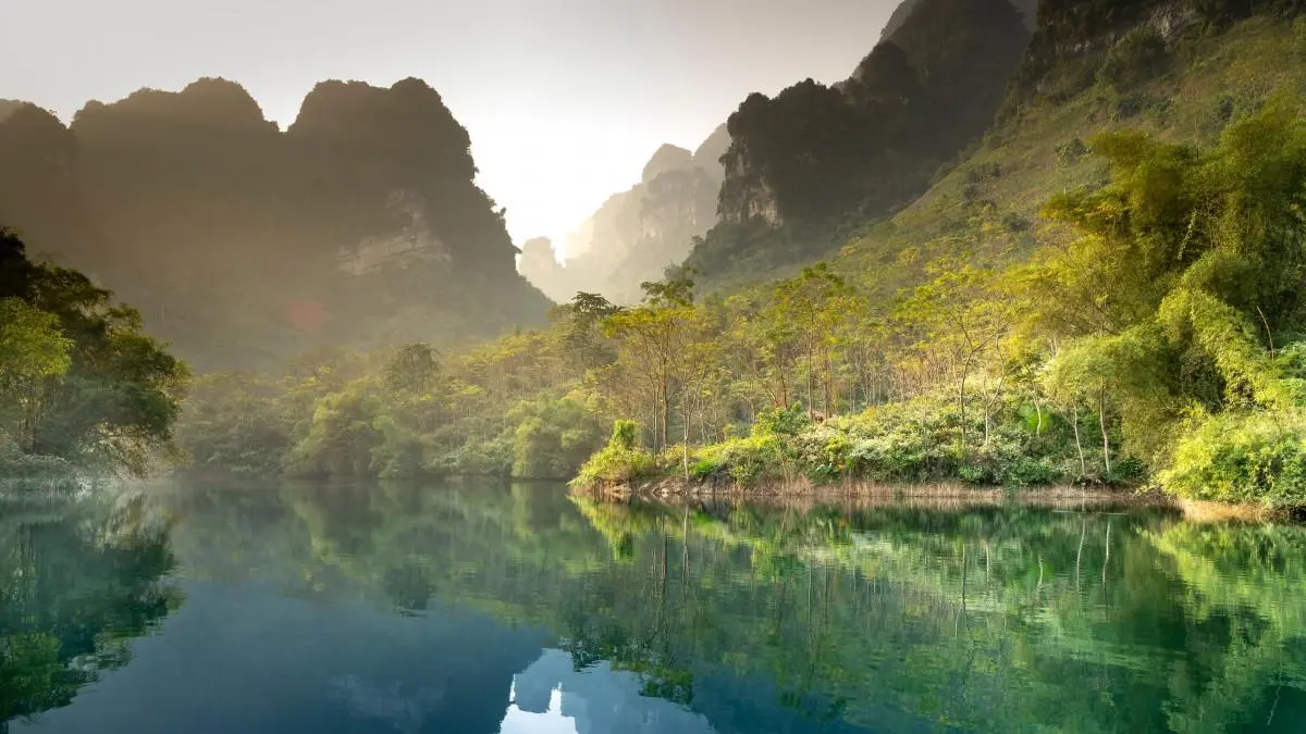智能系统智能